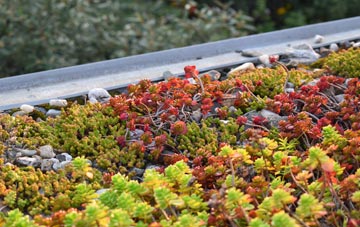the cost of Dandy Corner green roof installation