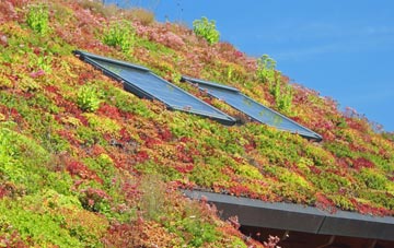 Dandy Corner living roof systems
