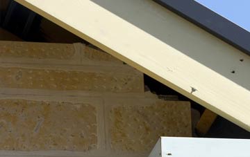 soffit repair Dandy Corner