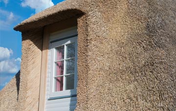Dandy Corner thatch roof disadvantages